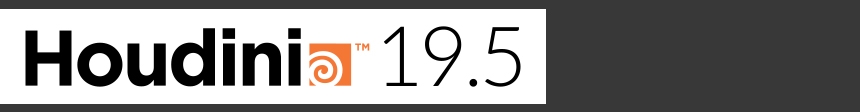 Houdini 19.5 Connection