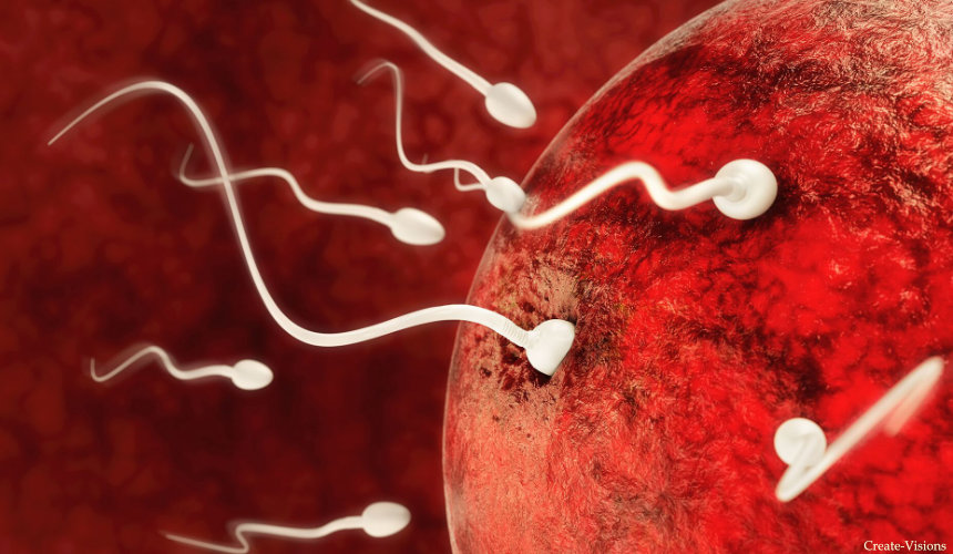 sperm_blog
