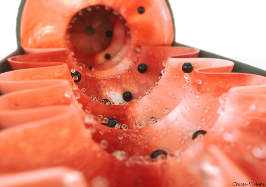 slice_blog
