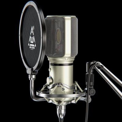 Studio Condenser Mic by Wanderson M. Pimenta