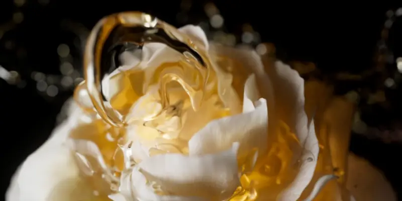 Bisous Production testimonial